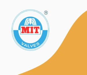 MIT-Valvess-300x257