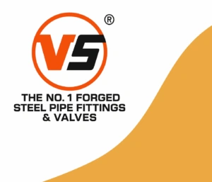 VS11-300x257